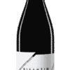 Merlot Terre di Chieti IGP Bisanzio 2021
