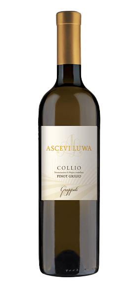 "Grappoli" Pinot Grigio Collio DOC 2020