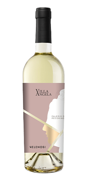 Pecorino Falerio DOC "Villa Angela" 2020