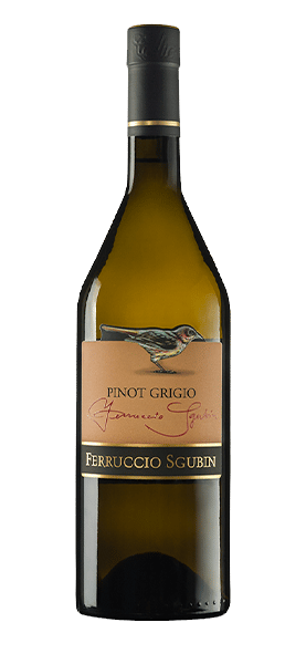 Pinot Grigio Collio DOC 2019