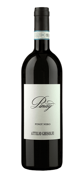 "Pinay" Pinot Nero Langhe DOC 2016