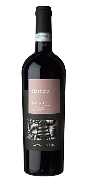 Barbera del Sannio DOP 2019