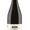 Calpazio IGP Paestum Greco 2021