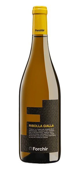 Ribolla Gialla Venezia Giulia IGT 2021