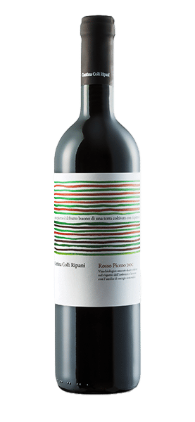 Rosso Piceno DOC 2020