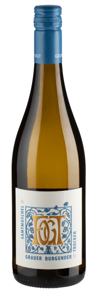 Samtmuschel Grauer Burgunder trocken - 2021 - Fogt - Deutscher Weißwein