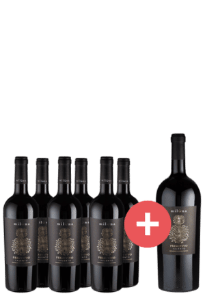 6er-Paket Miluna Primitivo Salento + GRATIS Magnum - Weinpakete