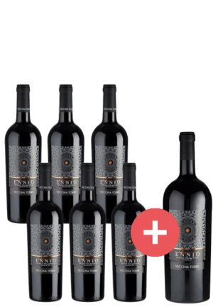 6er-Paket Edizione Ennio Syrah-Primitivo + GRATIS Magnum - Weinpakete