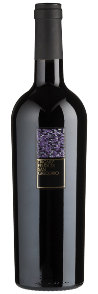 Trigaio - 2019 - Feudi di San Gregorio - Italienischer Rotwein