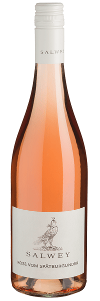 Rosé vom Spätburgunder trocken - 2021 - Salwey - Roséwein