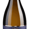 Pinot Grigio Castel del Lago - 2021 - Riolite Vini - Italienischer Weißwein