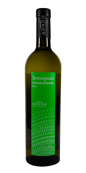 Verdicchio Di Matelica DOC Biologico "Terravignata"