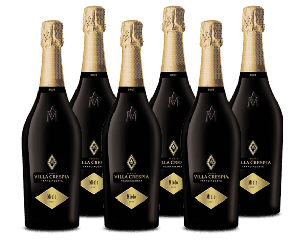 Paket mit 6 Flaschen Miolo Franciacorta DOCG Brut