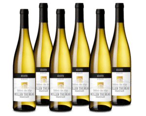 Paket mit 6 Flaschen Südtirol Alto Adige Muller Thurgau DOC