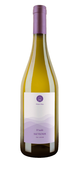 "D'Amblé" Sauvignon Langhe