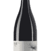 Shiraz 