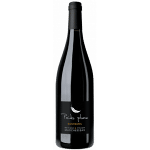 BOURGUEIL - POIDS PLUME 2021 - BERTRAND & VINCENT MARCHESSEAU