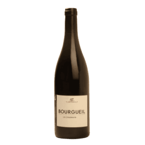 COTE 50 2021 - DOMAINE YANNICK AMIRAULT