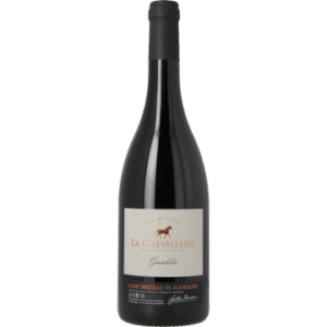 MAGNUM SAINT NICOLAS DE BOURGUEIL GUEULEBEE 2020 - LA CHEVALLERIE