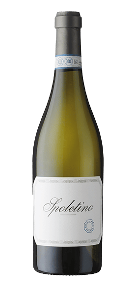 "Spoletino" Trebbiano Spoleto DOC 2019