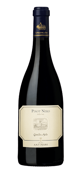 Pinot Nero Umbria IGT 2019