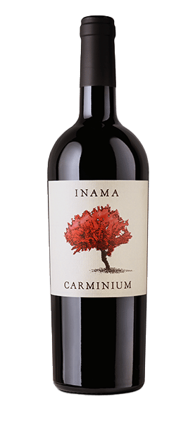 "Carminium" Carmenere Colli Berici DOC 2018