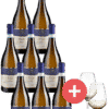 8er-Paket prämierter Pinot Grigio + 2er-Set Schott-Zwiesel Taste Gläser - Weinpakete