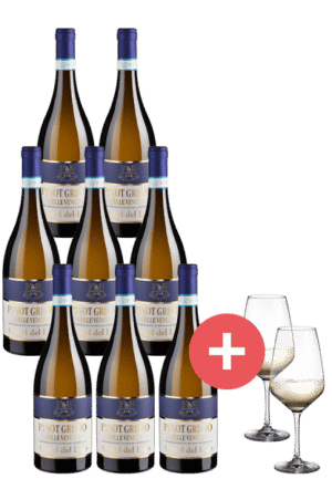 8er-Paket prämierter Pinot Grigio + 2er-Set Schott-Zwiesel Taste Gläser - Weinpakete