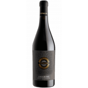 AMARONE DELLA VALPOLICELLA 2019 - VIVALDI