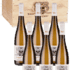 6er-Paket Bürgergarten Jahrgangsvertikale (Bio) - Müller-Catoir - Deutscher Weißwein