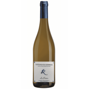 COTEAUX DU GIENNOIS - LES POINTES 2021 - DOMAINE RAIMBAULT-PINEAU