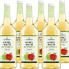 Katlenburger Fruchtweinschorle Apfel, trinkfertige Schorle aus Apfelwein 6 x 1 l, frisch, spritzig, fruchtig