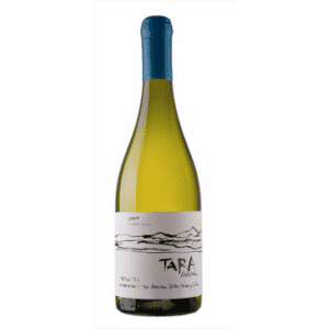 WHITE WINE N°3 2020 - SAUVIGNON BLANC - TARA