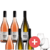 6er-Paket Markus Schneider + GRATIS Schott-Zwiesel Taste Gläser - Weinpakete