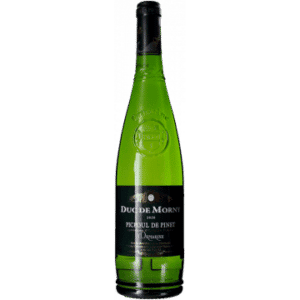 DUC DE MORNY - PICPOUL DE PINET 2021 - CAVE ORMARINE