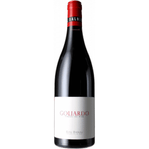 GOLIARDO TINTO 2020 - BODEGA FORJAS DEL SALNES