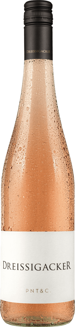 Dreissigacker Pino_ & Co. Rosé 2021