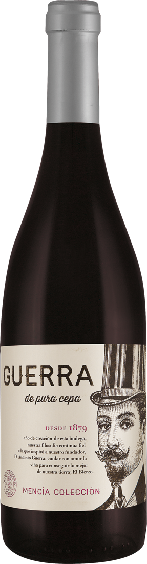 Vinos del Bierzo Mencía Roble D.O. 2017