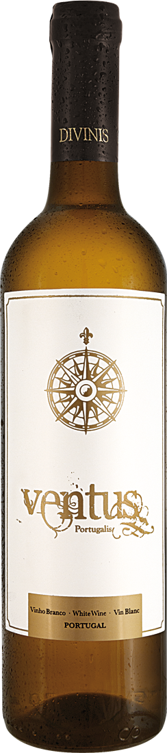 Divinis Ventus Portugalis Vinho Branco