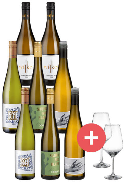 8er-Paket Deutsche Klassiker + 2er-Set Schott-Zwiesel Gläser - Weinpakete