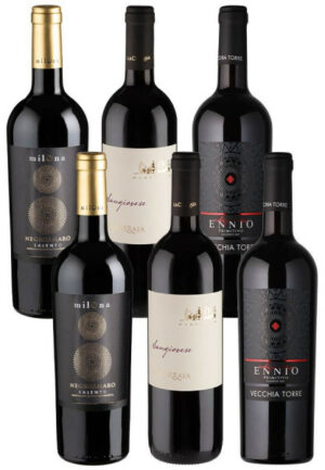 6er-Paket Italienische Rebsortenvielfalt - Weinpakete