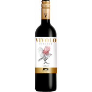 MERLOT 2021 - VIVOLO DI SASSO