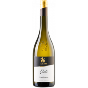 VIAL PINOT BIANCO 2021 - KALTERN