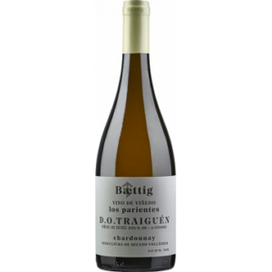 VINO DE VINEDO LOS PARIENTES CHARDONNAY 2020 - BAETTIG