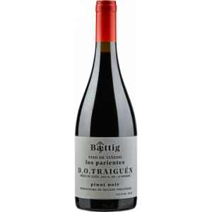 VINO DE VINEDO LOS PARIENTES PINOT NOIR 2021 - BAETTIG