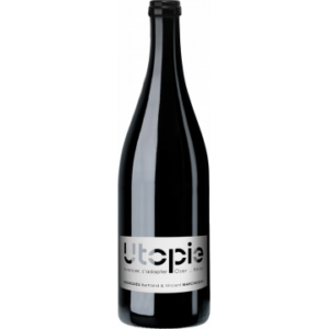 BOURGUEIL - UTOPIE 2021 - BERTRAND & VINCENT MARCHESSEAU