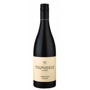 PINOT NOIR 2021 - TOLPUDDLE VINEYARD