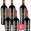 4+2-Paket Tesori d'Arneo Rosso Salento - Cantina Vecchia Torre - Weinpakete