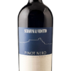 Pinot Nero IGT del Veneto 2022