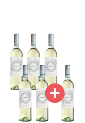 5+1 Paket Lugana Weinlakai Empfehlung - Weinpakete